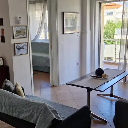 Vladan's